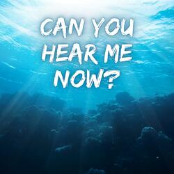 Can You Hear Me Now?