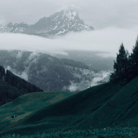 THE HILL