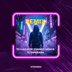 Tú Llegaste Cuando Menos Te Esperaba (STYLE WALKER)