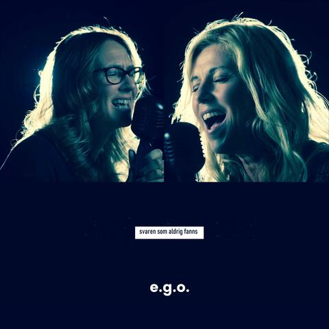 Svaren som aldrig fanns