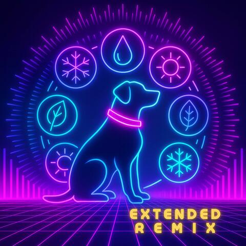 Pipeta - Collar (Todo el Año, Sin Parar) (Extended Remix)