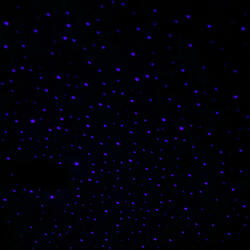 Reck Activity (feat. Topdondada & Babyweez)