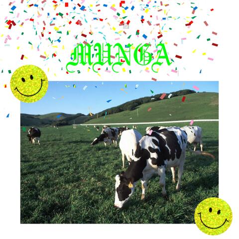 1¼ Album(s) about Cows
