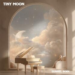 Tiny Moon
