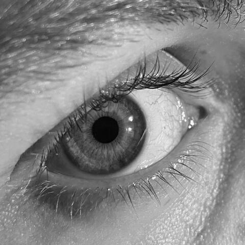T. (Revisited)