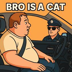 Bro is a CAT