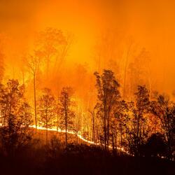 South African Firefighters to the Rescue