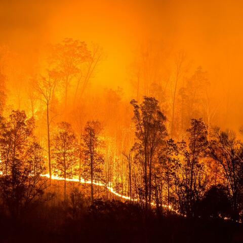 South African Firefighters to the Rescue