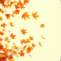 Contours of the Wind