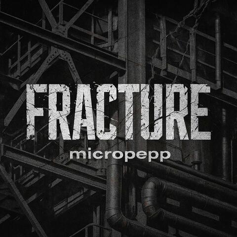 Fracture