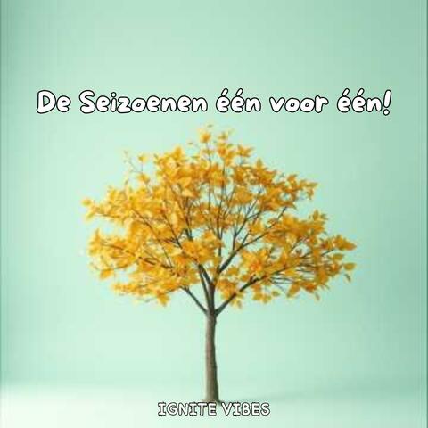 De Seizoenen één Voor één!
