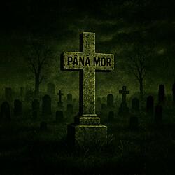 Pana Mor (feat. ALΞXOtheKid)