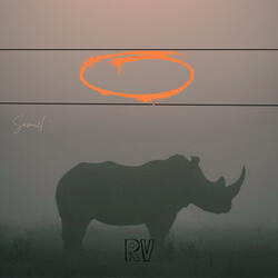 Rhino Vision