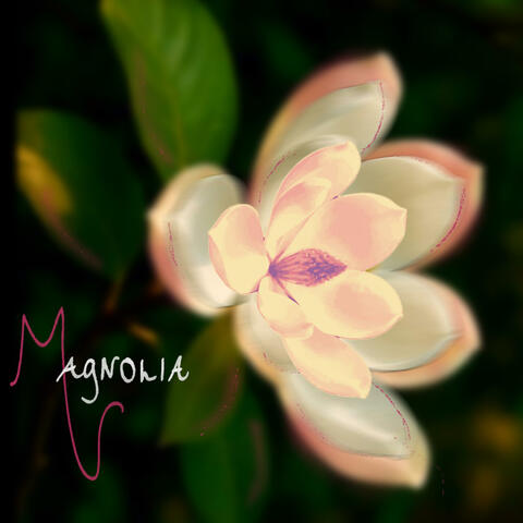 magnolia.