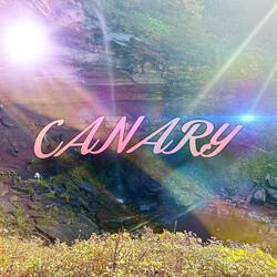 CANARY
