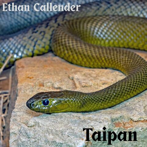 Taipan