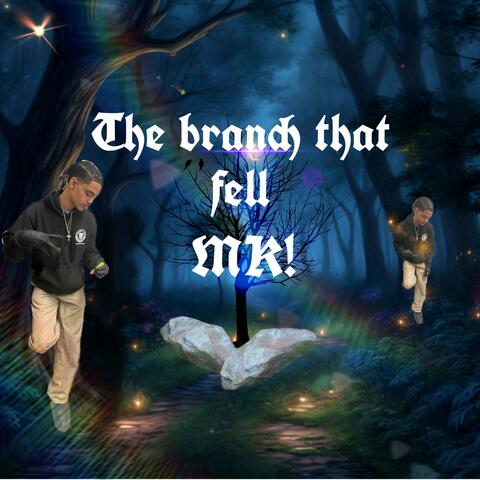 The branch that fell