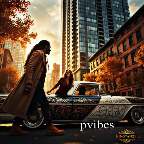 Pvibes