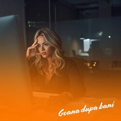 Goana dupa bani