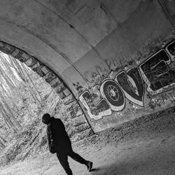 Let The Harvest Talk