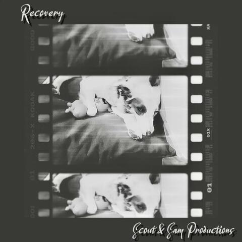 Recovery
