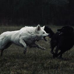 Pillz & Potion (original audio) (feat. Ka’Vell)