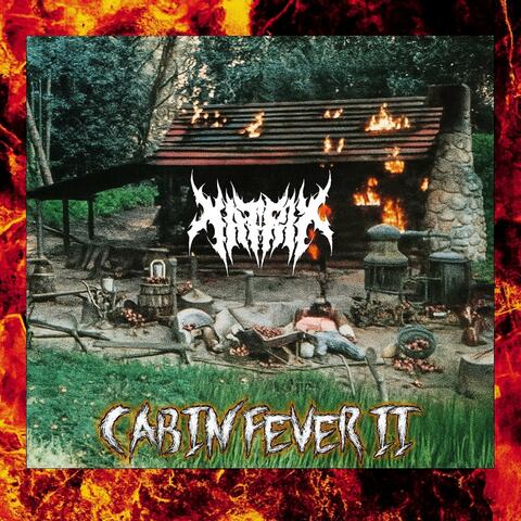 Cabin Fever II