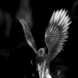 PLXTONICA (SPEED UP)