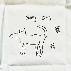 Young dog
