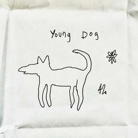 Young dog