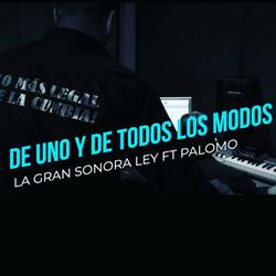 De uno y de todos los modos (feat. Grupo Palomo)