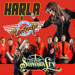 Yo sin él (feat. Karla y Flamingo)