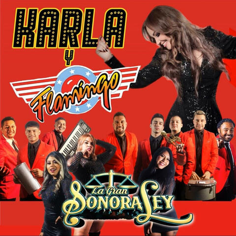 Yo sin él (feat. Karla y Flamingo)