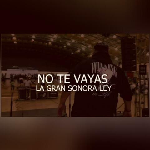 No Te Vayas