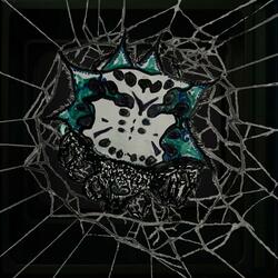Orb Weaver