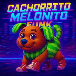 CACHORRITO MELONITO FUNK (Slowed)