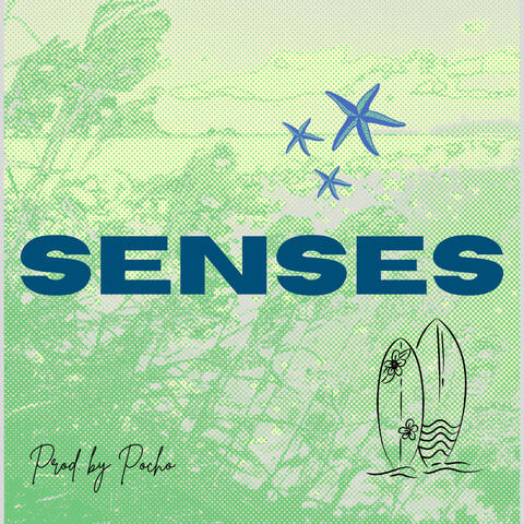 SENSES