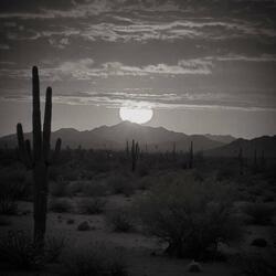 TRAVERSER LES PLAINES