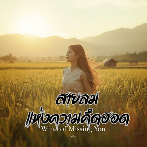 สายลมแห่งความคึดฮอด