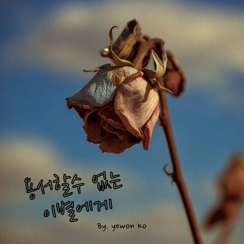 용서할수 없는 이별에게