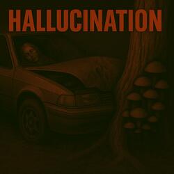 HALLUCINATION