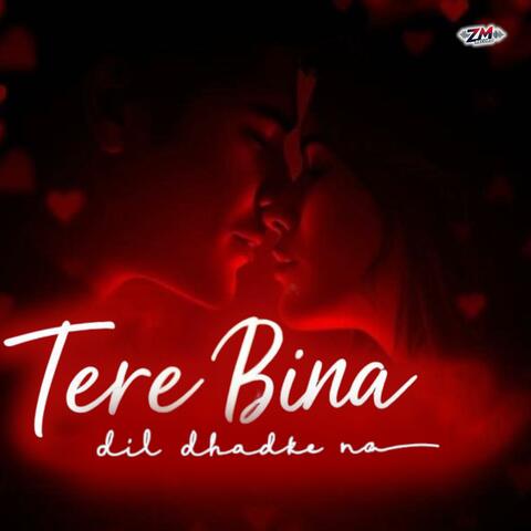 Tere Bina Dil Dhadke Na