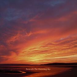 Beneath The Dimming Sky