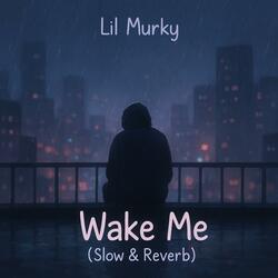 Wake Me (Slow & Reverb)