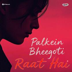 Palkein Bheegoti Raat Hai