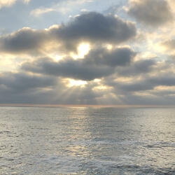 Never Been So Scared