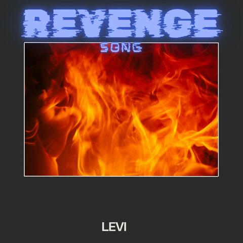 Revenge Song