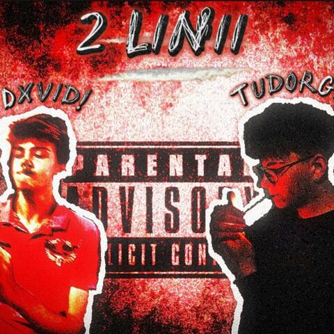 TudorGS x dxvid! (2 linii) (feat. tudorgs)