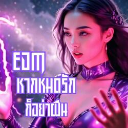 หากหมดรักก็อย่าฝืน (EDM Version)