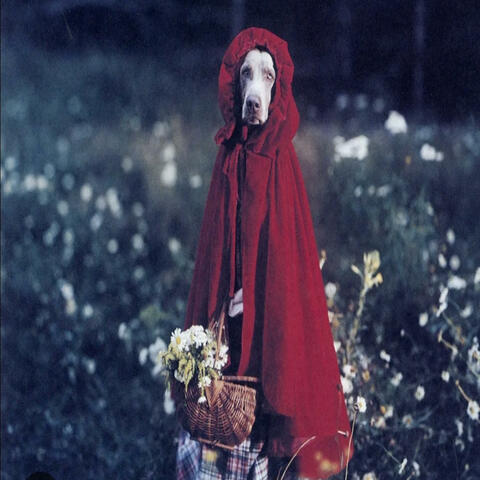 Little red riding hood (Instrumental)